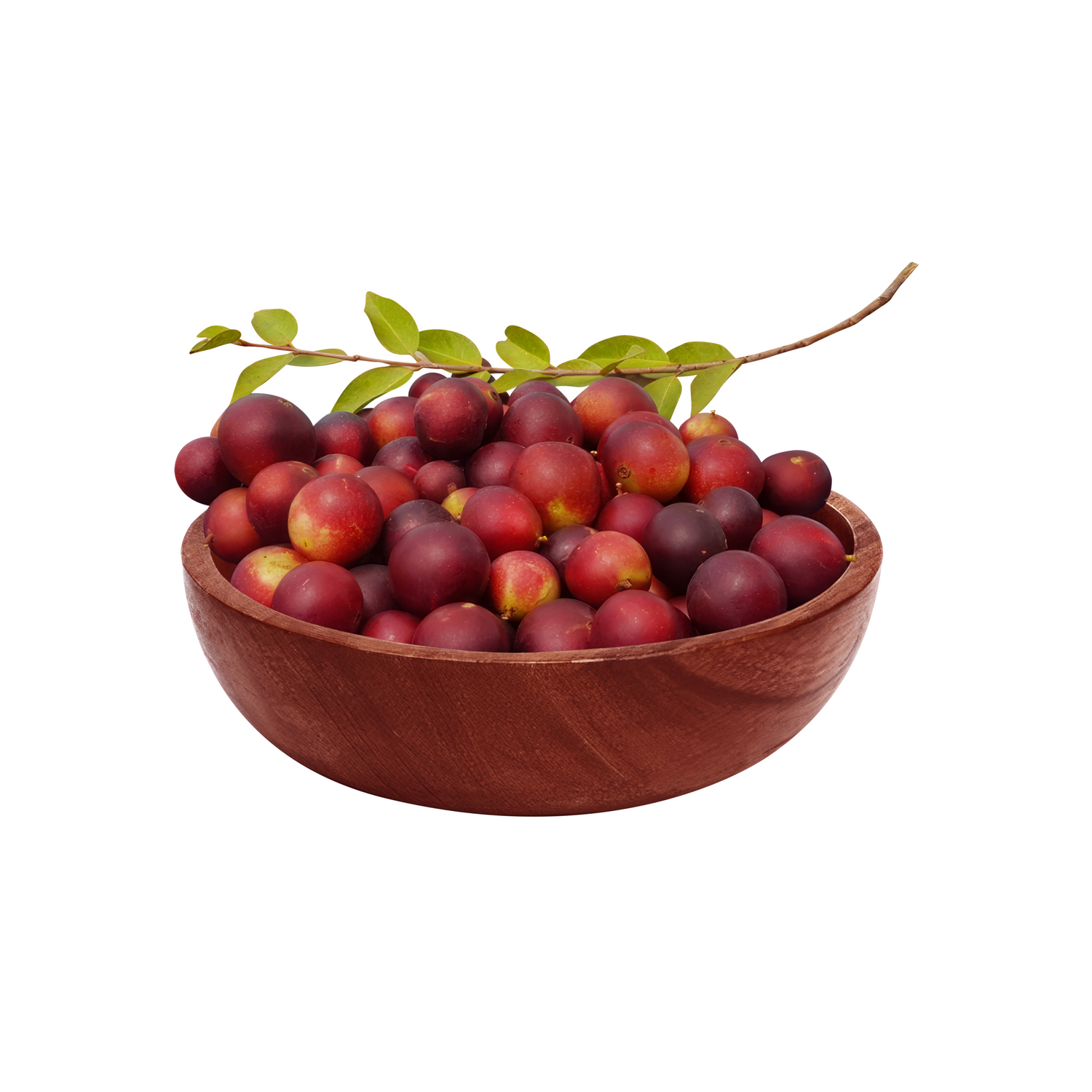 Camu fruta